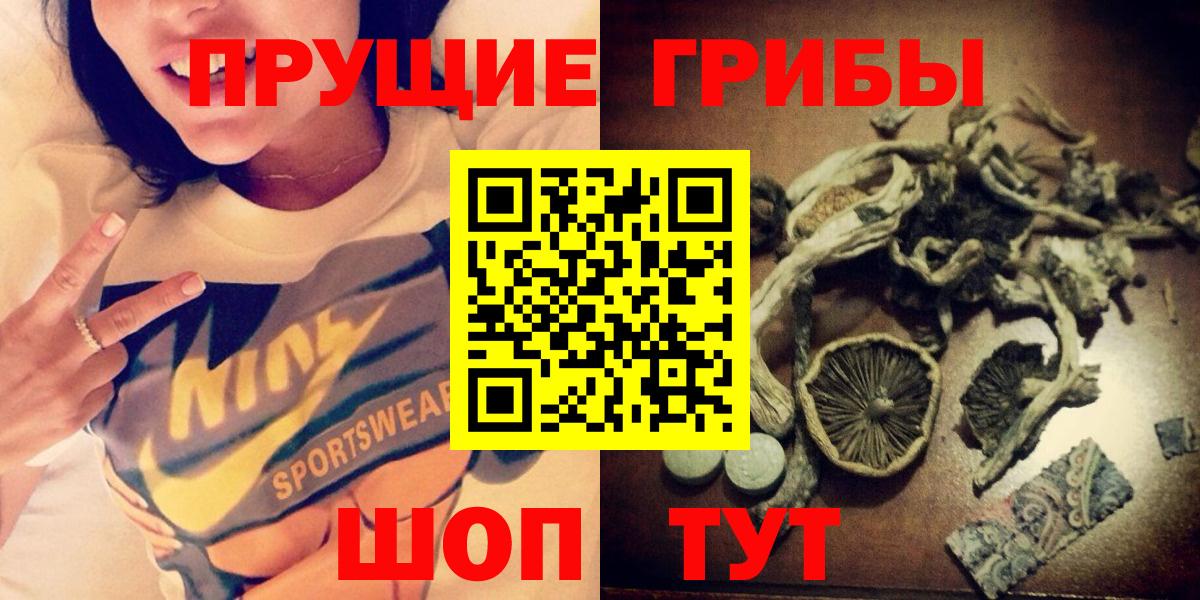 Сегежа  Псилоцибиновые грибы Psilocybine cubensis  Вход с VPN 